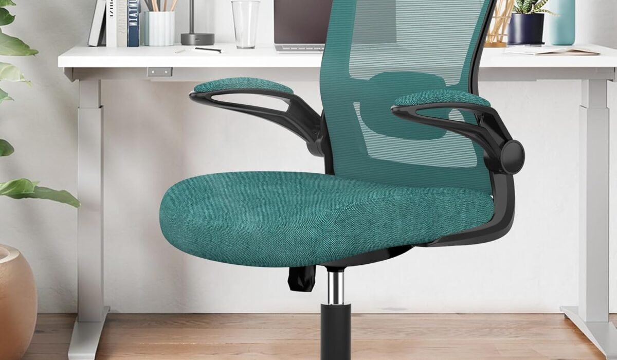 ergonomic chair
